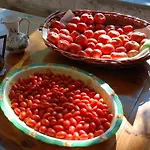 Agroturismo Camporegio