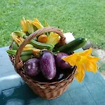 Agroturismo Camporegio Civitella Cesi