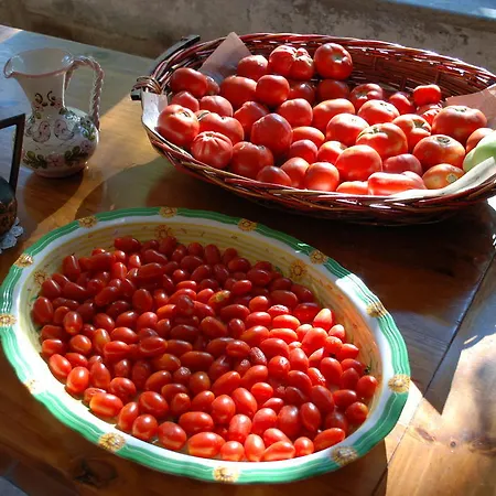 Κατάλυμα σε φάρμα Camporegio