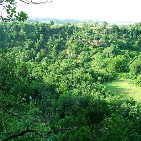 Agroturismo Camporegio *