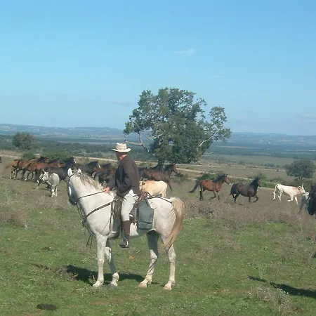 Camporegio Civitella Cesi