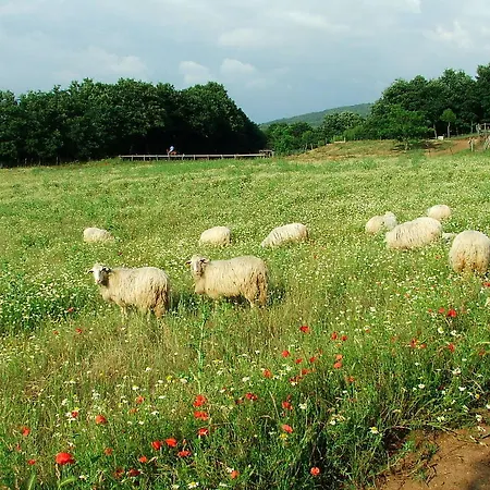 Camporegio Civitella Cesi